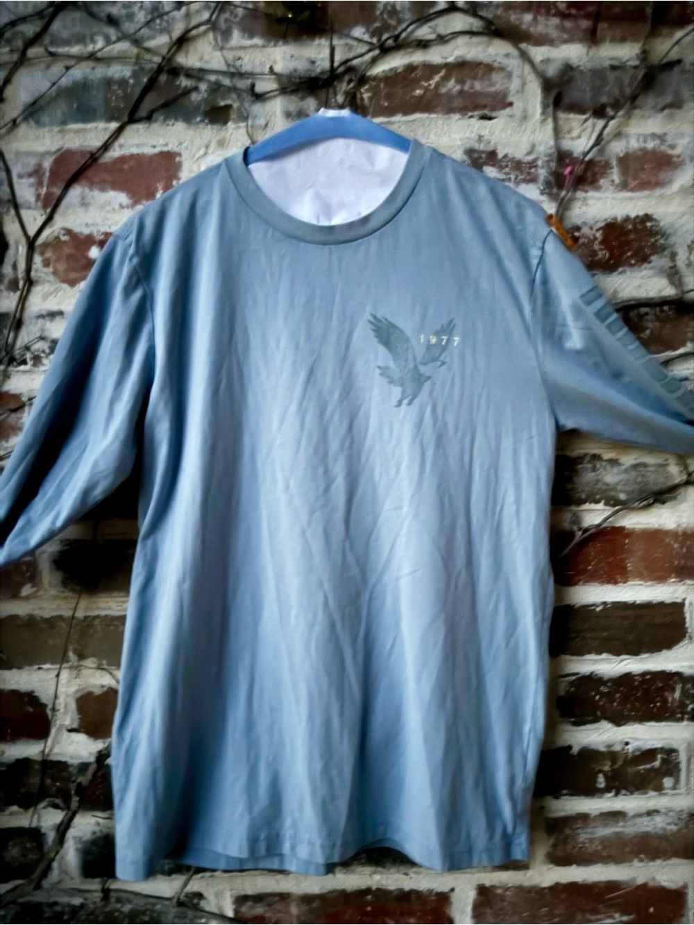 🦅⚡ Y2K-Vibe American Eagle Super Soft Graphic Long Sleeve Tee! ⚡🦅